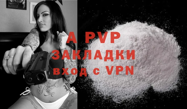 эйфоретик Касимов