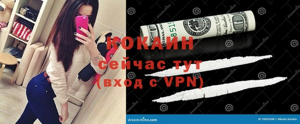 сатива Каменка