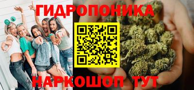 шишки Вязники