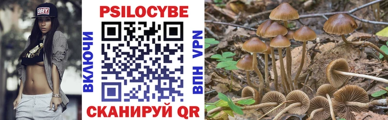 Псилоцибиновые грибы Magic Shrooms Кондопога
