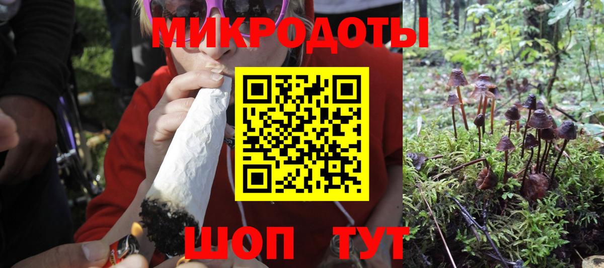 Галлюциногенные грибы Magic Shrooms  Вход с VPN  Кондопога 